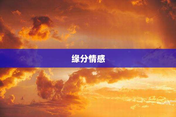 缘分情感