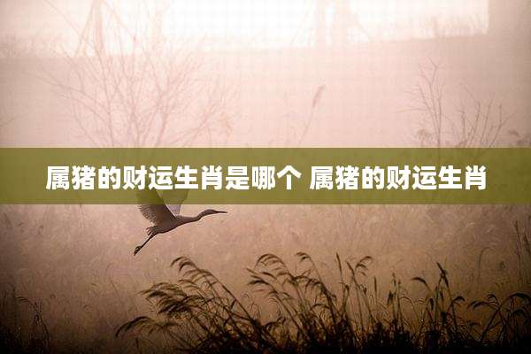 属猪的财运生肖是哪个 属猪的财运生肖