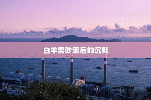 白羊男吵架后的沉默