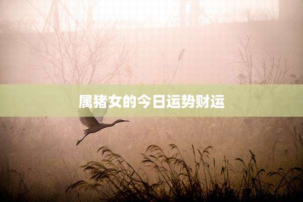 属猪女的今日运势财运