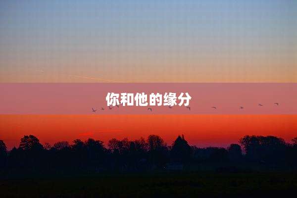 你和他的缘分
