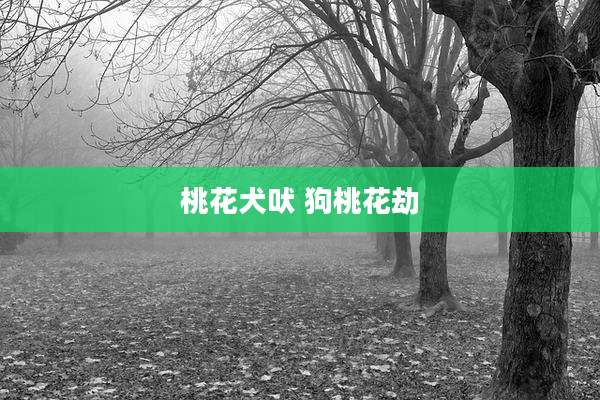 桃花犬吠 狗桃花劫