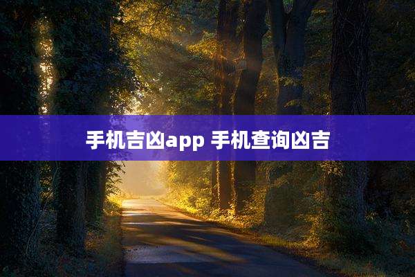手机吉凶app 手机查询凶吉