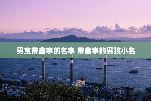 男宝带鑫字的名字 带鑫字的男孩小名