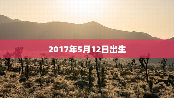 2017年5月12日出生