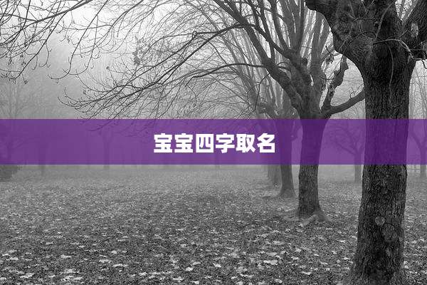 宝宝四字取名
