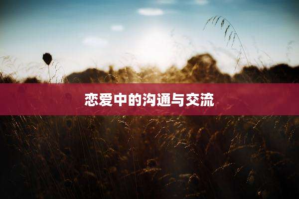 恋爱中的沟通与交流