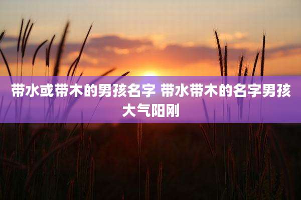 带水或带木的男孩名字 带水带木的名字男孩大气阳刚