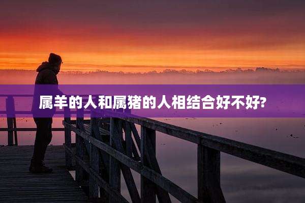 属羊的人和属猪的人相结合好不好?