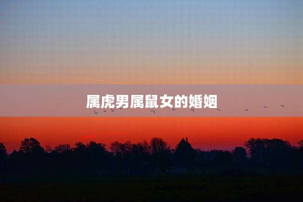 属虎男属鼠女的婚姻