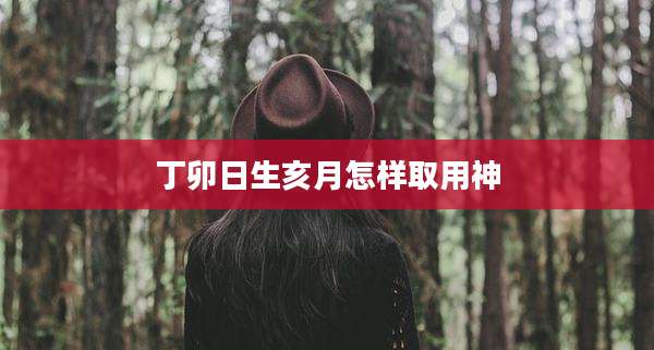 丁卯日生亥月怎样取用神
