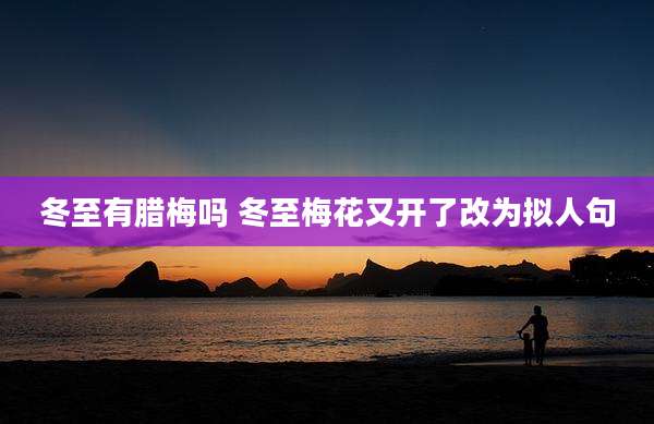 冬至有腊梅吗 冬至梅花又开了改为拟人句