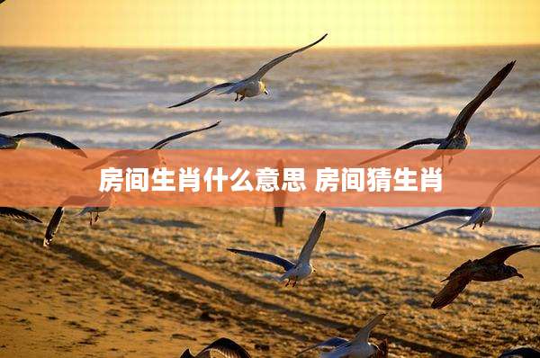 房间生肖什么意思 房间猜生肖