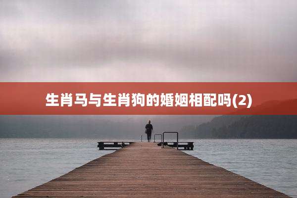 生肖马与生肖狗的婚姻相配吗(2)