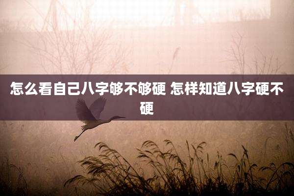 怎么看自己八字够不够硬 怎样知道八字硬不硬