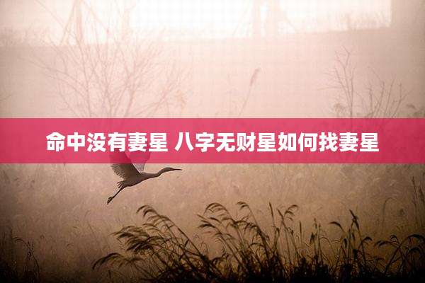 命中没有妻星 八字无财星如何找妻星