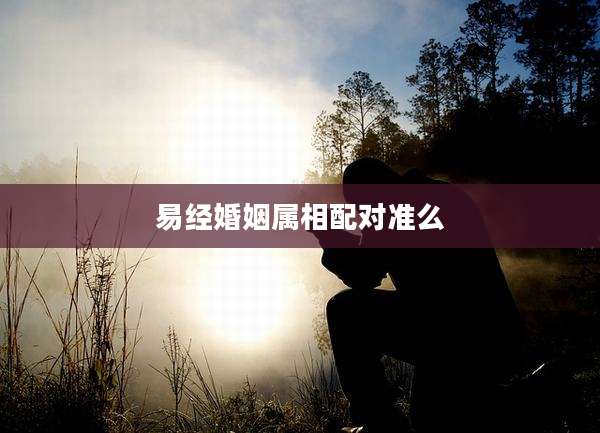 易经婚姻属相配对准么