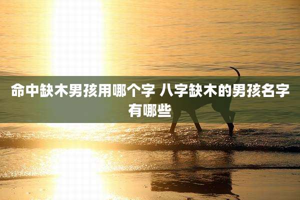 命中缺木男孩用哪个字 八字缺木的男孩名字有哪些