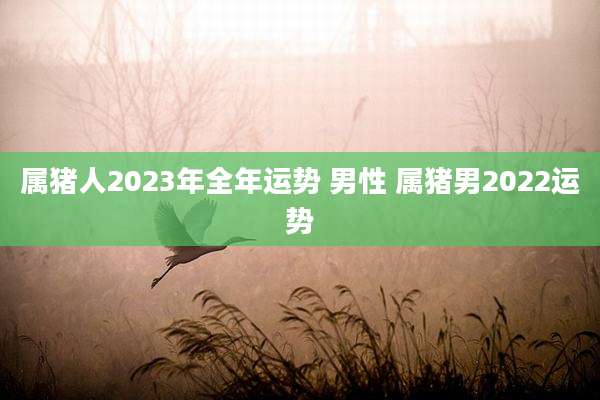 属猪人2023年全年运势 男性 属猪男2022运势