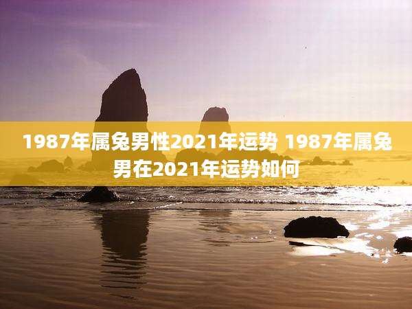1987年属兔男性2021年运势 1987年属兔男在2021年运势如何