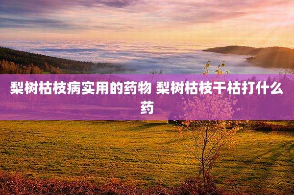 梨树枯枝病实用的药物 梨树枯枝干枯打什么药
