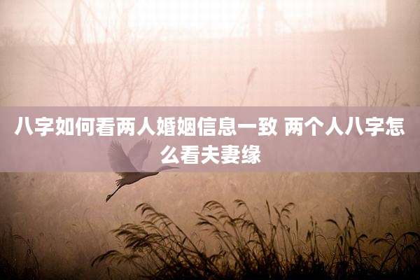 八字如何看两人婚姻信息一致 两个人八字怎么看夫妻缘