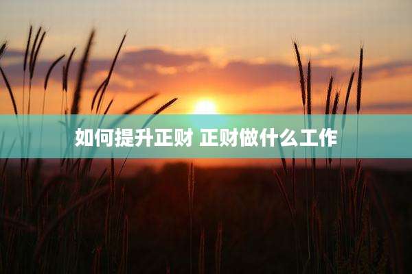 如何提升正财 正财做什么工作