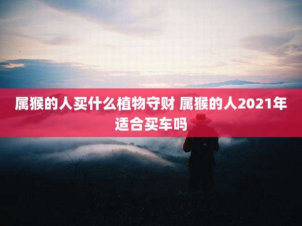 属猴的人买什么植物守财 属猴的人2021年适合买车吗