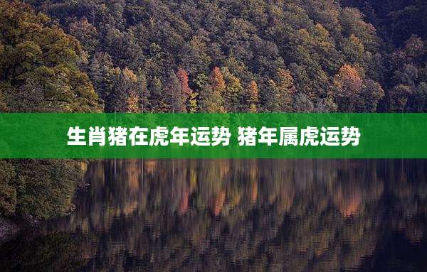 生肖猪在虎年运势 猪年属虎运势