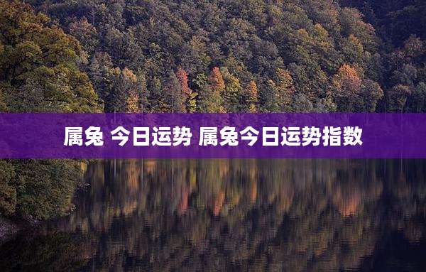 属兔 今日运势 属兔今日运势指数