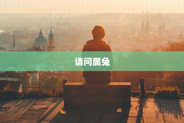 请问属兔
