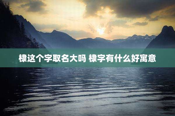 棣这个字取名大吗 棣字有什么好寓意