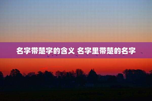 名字带楚字的含义 名字里带楚的名字