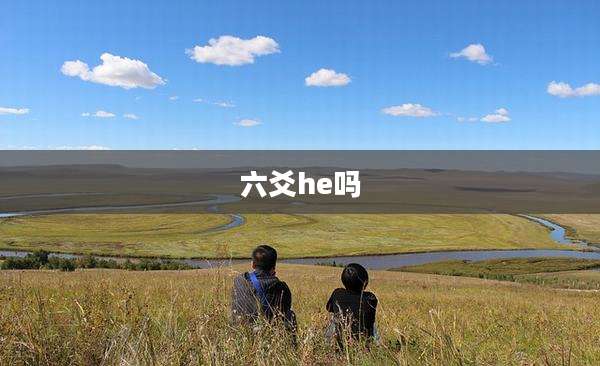 六爻he吗
