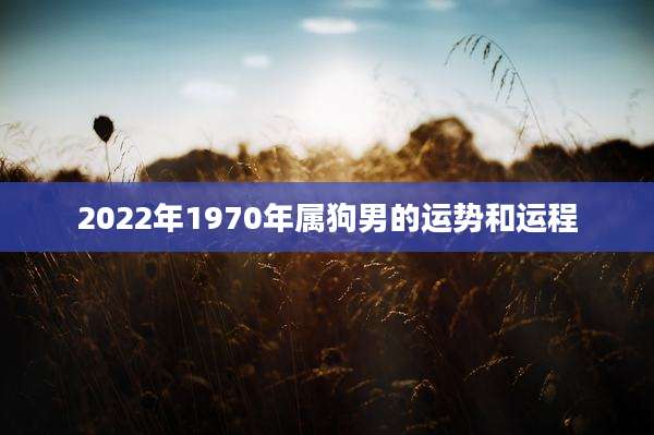 2022年1970年属狗男的运势和运程