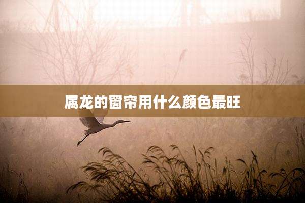 属龙的窗帘用什么颜色最旺