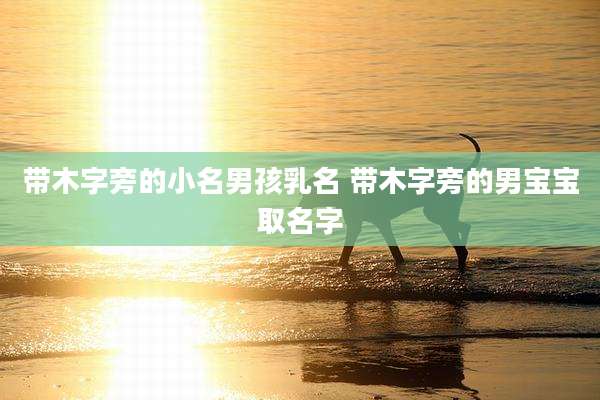 带木字旁的小名男孩乳名 带木字旁的男宝宝取名字