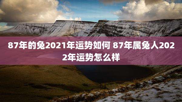 87年的兔2021年运势如何 87年属兔人2022年运势怎么样