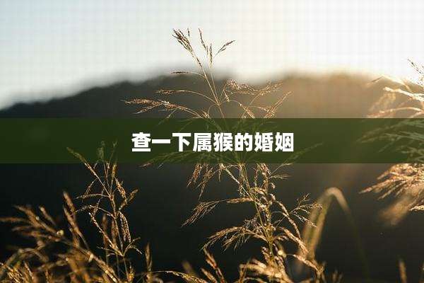 查一下属猴的婚姻