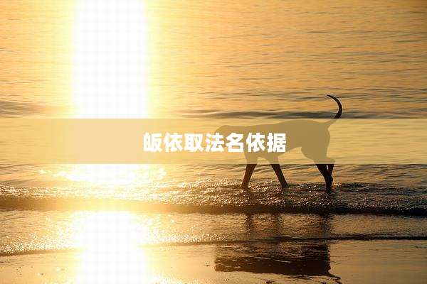 皈依取法名依据