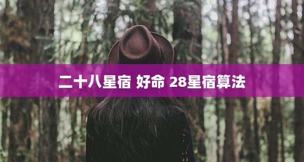 二十八星宿 好命 28星宿算法