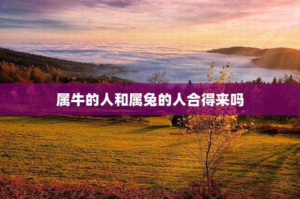 属牛的人和属兔的人合得来吗