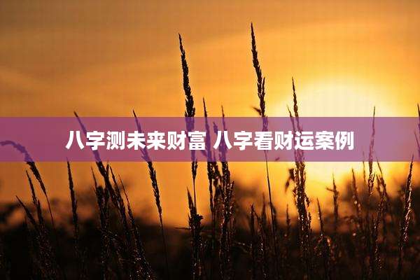八字测未来财富 八字看财运案例