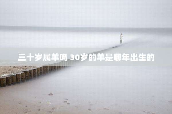 三十岁属羊吗 30岁的羊是哪年出生的