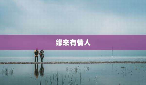 缘来有情人