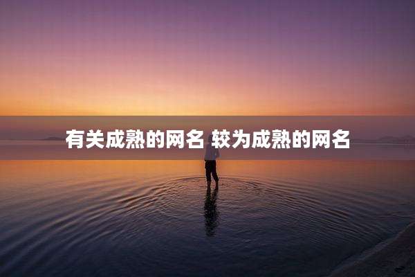 有关成熟的网名 较为成熟的网名