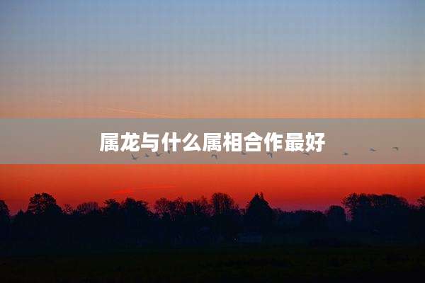 属龙与什么属相合作最好