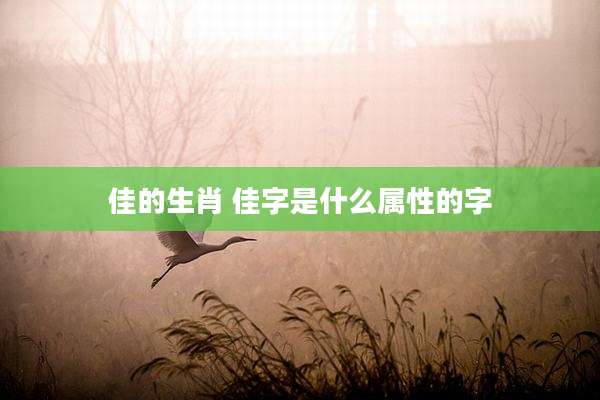 佳的生肖 佳字是什么属性的字
