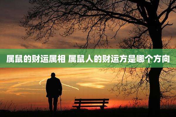 属鼠的财运属相 属鼠人的财运方是哪个方向