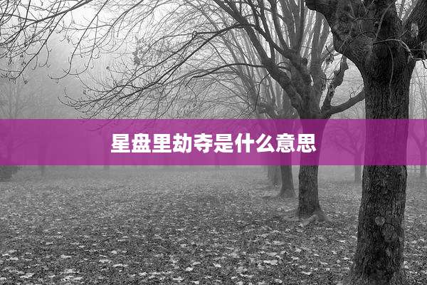 星盘里劫夺是什么意思